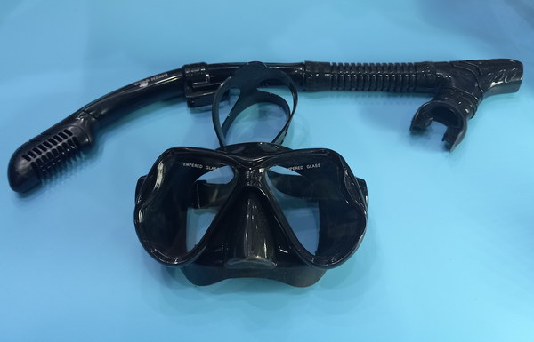 professional mask