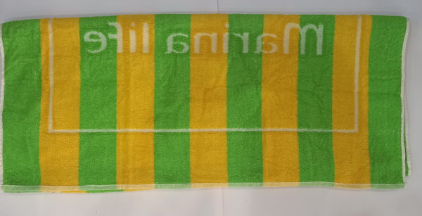 The Striped Beach Towel