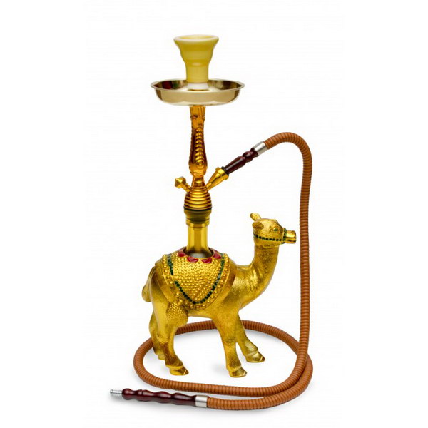 Hookah Camel