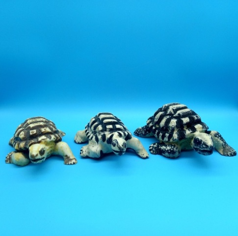 Decorative Turtle Acrylic