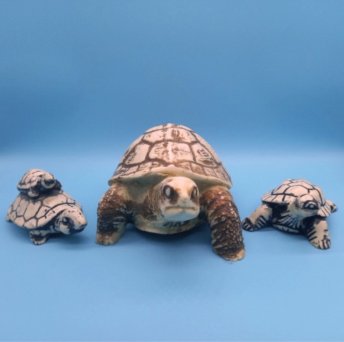 Turtle - Acrylic