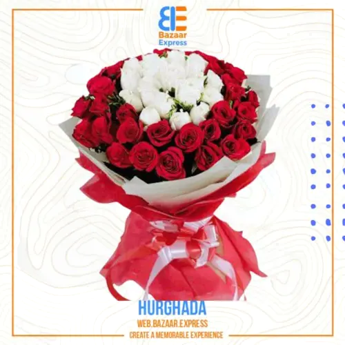 Flower Red and White -41 roses