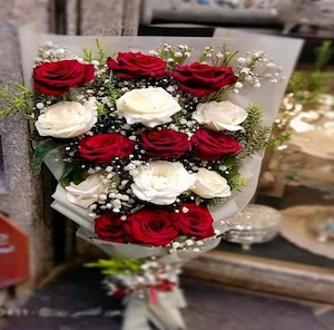 Flower Red White Rose-15  roses