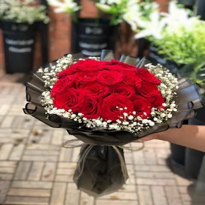 Flower Red Rose -31 roses