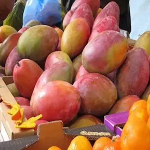 Egyptian Mango