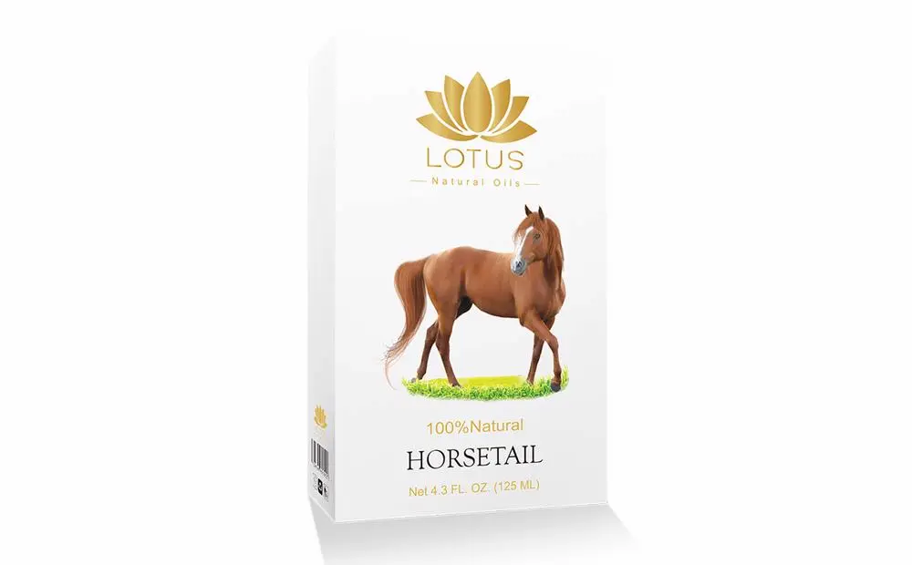 Horsetail Oil