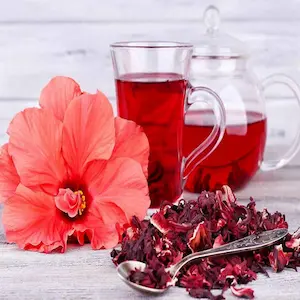 Tea Hibiscus