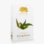 Pure Eucalyptus Oil Bottle for Muscle and Breathing Relief