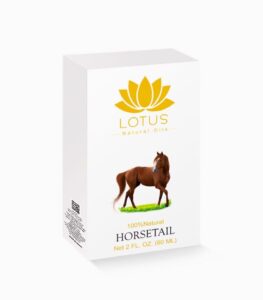 Horsetail Oil bottle for hair growth and strengthening