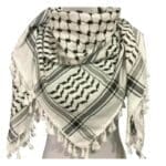 Palestinian scarf fringe and woven fabric