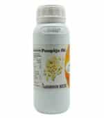 Organic Pumpkin Seed Oil – Nutrient-Rich and Golden