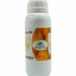 Bio Kürbiskernöl Flasche – Kaltgepresst und 100 % rein