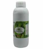 Organic Rocket Oil Bottle – El Baraka Cold-Pressed Arugula Seed Oil