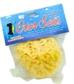 Sea Sponge – 100% Natural - Image 8