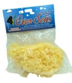 Sea Sponge – 100% Natural - Image 5