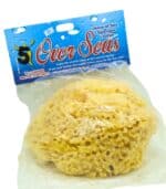 Sea Sponge – 100% Natural - Image 4