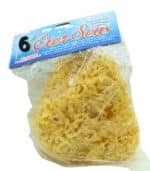 Sea Sponge – 100% Natural - Image 3