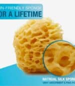 Sea Sponge – 100% Natural - Image 2