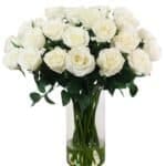 27 white flowers arranged in a clear glass vase