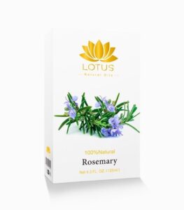 Rosemary Oil bottle for hair and skin treatment